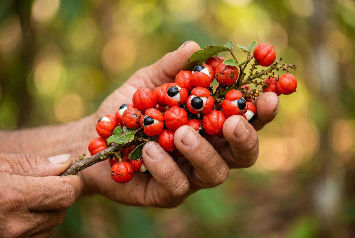 Guarana in een afslankformule