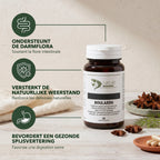 Uitleg over de werking van Boulardii met Saccharomyces boulardii